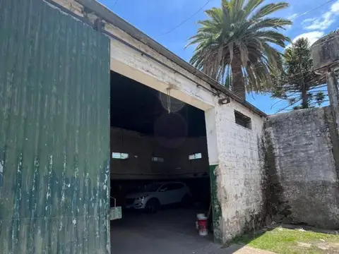 Primera Junta Y Cervantes