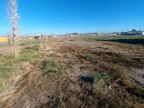 Terreno en Venta de 350,0 m2