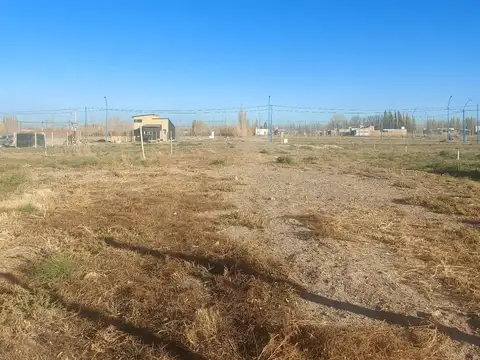 Terreno en Venta en General Roca, USD 12.500
