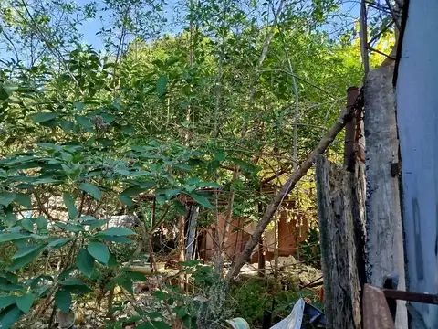 Terreno Lote  en Venta en Olivos, Vicente López, G.B.A. Zona Norte