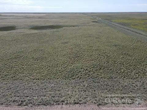 Venta 27.900  Has  ,GRAL ALVEAR MENDOZA  Armadas para Cria y recria  para 2000 animales