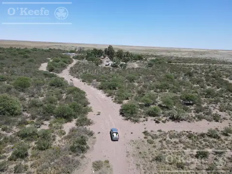 Campo en venta de 28.000  Has en Gral Alvear, Mendoza. Armado de Cría/Recría
