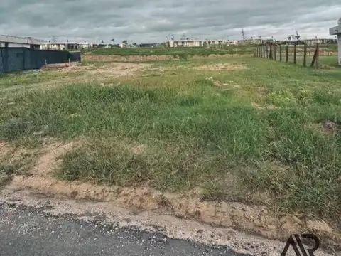 camino los Aromos 100