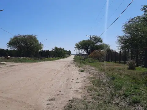 Terreno en Venta en Winifreda, USD 8.500