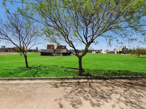 Terreno en Venta de 350,0 m2