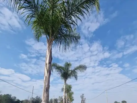 Terreno en Venta de 1000,0 m2