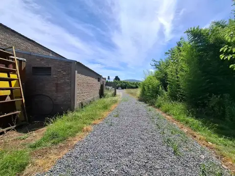 Galpon en Alquiler 50  mts Fondo