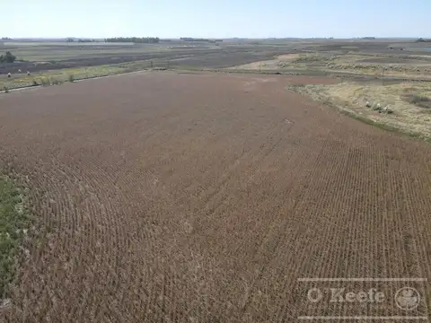 325 Has Agrícolas en Bolívar