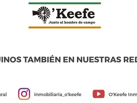 325 Has Agrícolas en Bolívar
