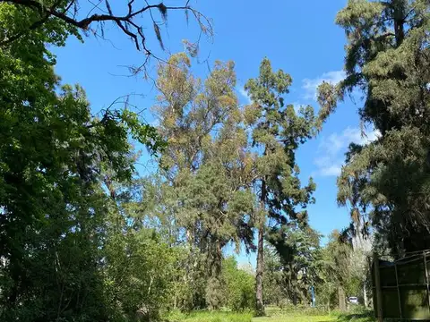 Terreno en Venta en Barrio el Cazador, USD 950.000