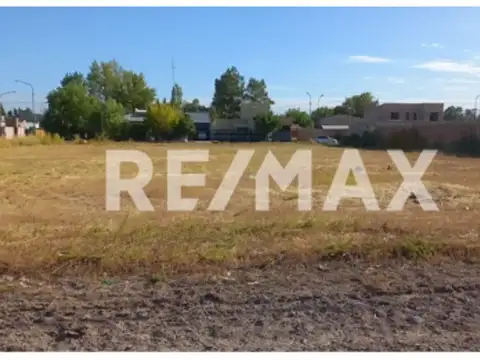 Intendente Mariani 1500