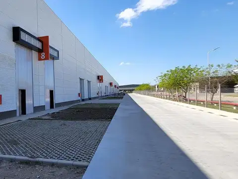 Galpon en Alquiler 25  mts Fondo