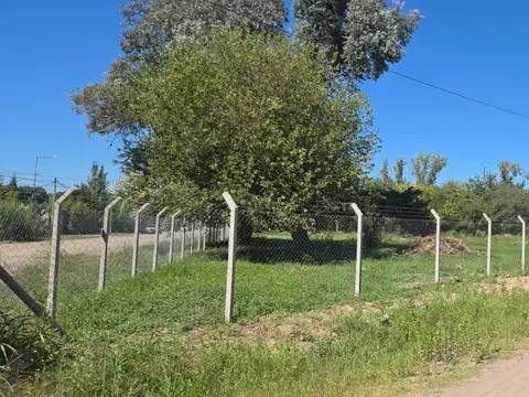 Canal de Beagle y Dr. Federico Leloir