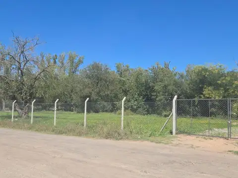 Terreno en Venta de 10000,0 m2