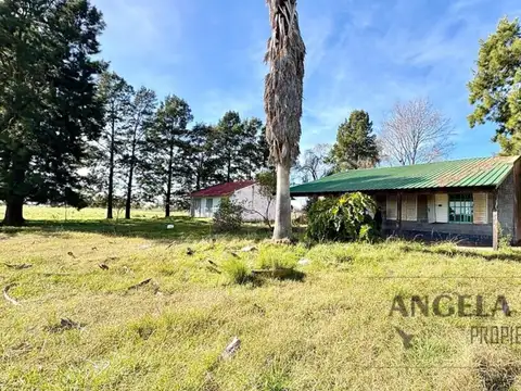 Campo en Venta de 118  ha