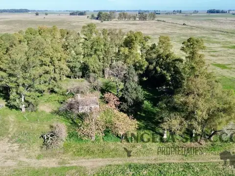 Campo en Venta Agrícola