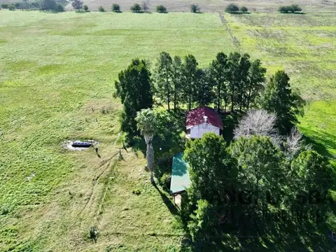 Campo en Venta Agrícola