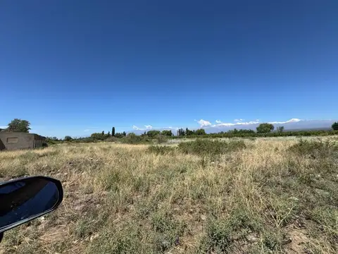 VENTA DE CAMPO/FINCA MALBEC 10HS TUPUNGATO MENDOZA