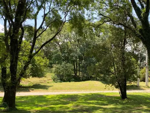 Ruta Provincial 338 100