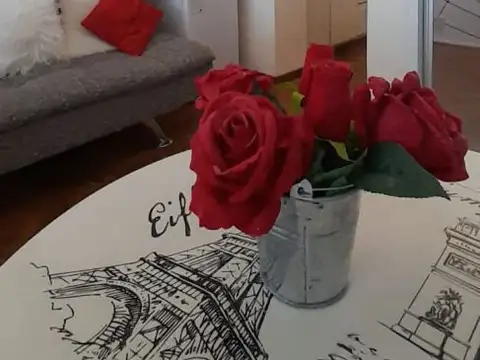 Departamento en Alquiler Temporal al Norte