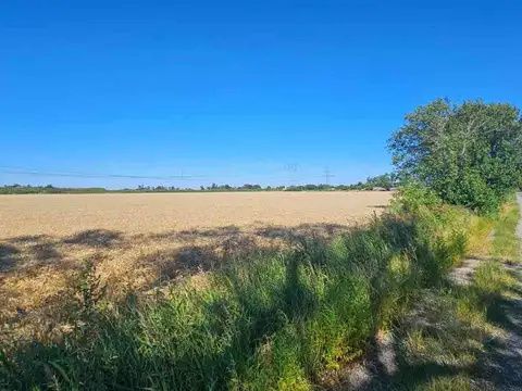 VENTA LOTE 2 HAS SAN NICOLAS DE LOS ARROYOS