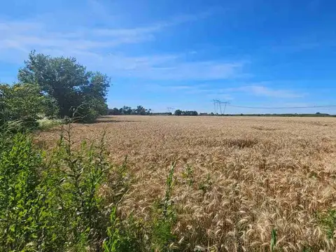 VENTA LOTE 2 HAS SAN NICOLAS DE LOS ARROYOS