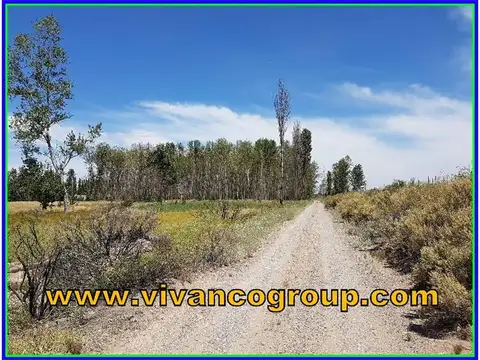 Ruta 22 1200