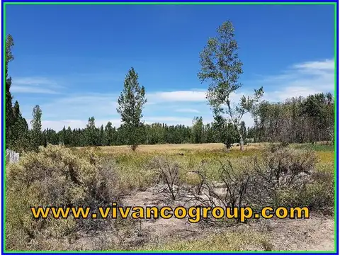 Terreno en Venta de 18134,0 m2