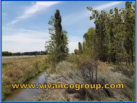 Terreno en Venta 123  mts Frente