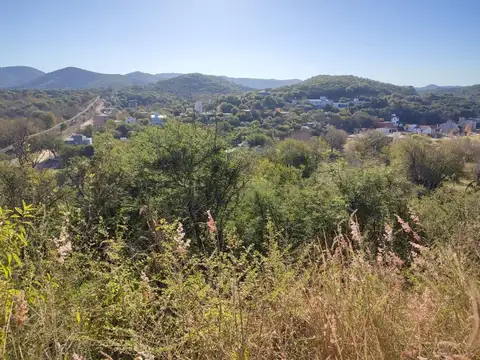 Reina Mora 200