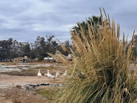 VENTA DE TERRENO CON PLANOS EN BARRIO PRIVADO