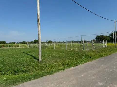 Terreno en Venta 12  mts Frente