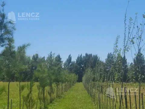 ruta 215 km 49