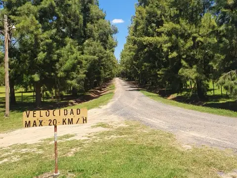 ruta 215 km 49