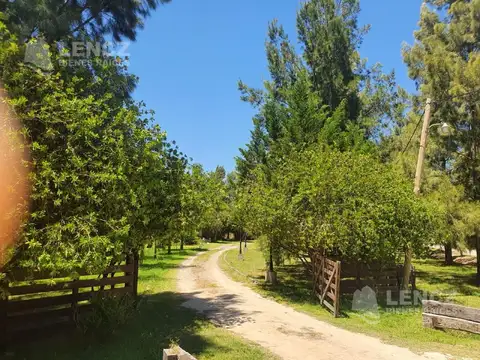 ruta 215 km 49