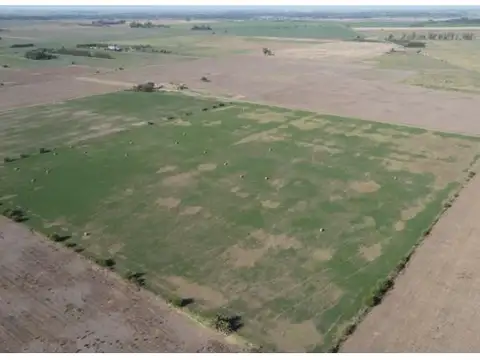 Campo De 54 Has En Ibarlucea, Ideal Desarrollo Inmobiliario