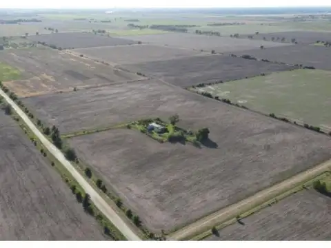 Campo De 54 Has En Ibarlucea, Ideal Desarrollo Inmobiliario