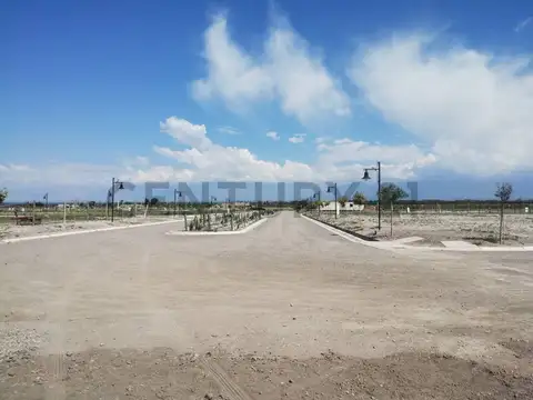 Terreno en Venta 25  mts Frente