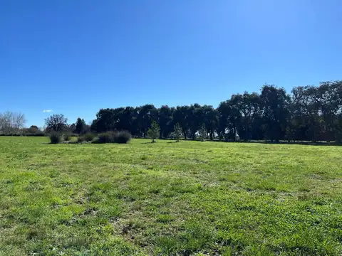 Terreno en Venta de 10000,0 m2