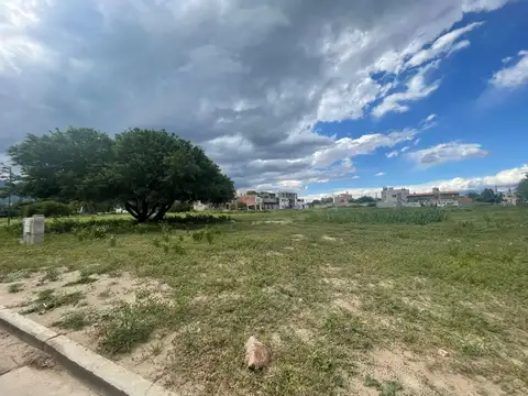 Cafayate. Los Aromos 100