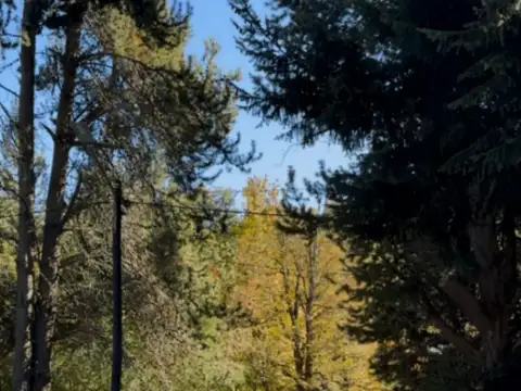 Terreno en Venta de 776,9 m2