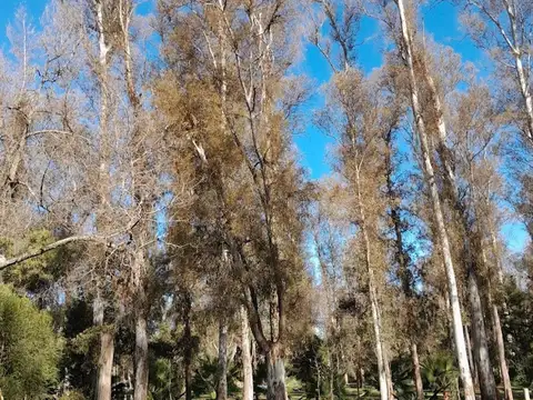 VENTA de TERRENO en el Barrio LOS BOSQUECITOS