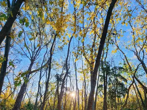 Terreno en Venta de 3000,0 m2