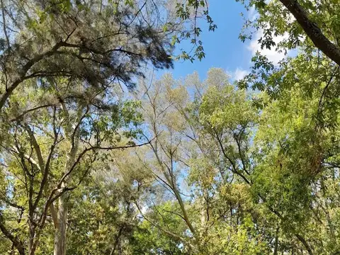 Calle El Trebol casi esq San Jorge Barrio Los Bosquecitos