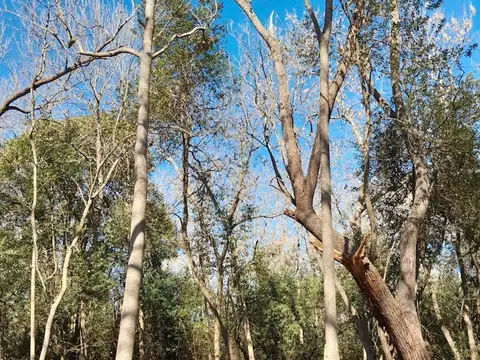 Terreno en Venta en Coronel Brandsen, USD 52.000