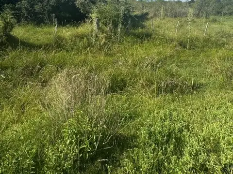 Campo en Venta de 121  ha