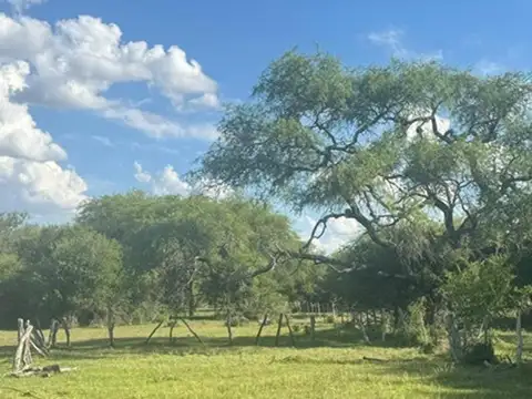 Campo en Venta Ganadero