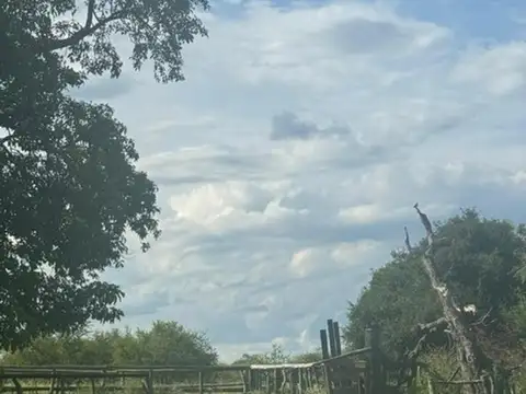 Campo en Venta Ganadero