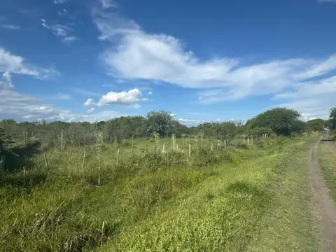 Campo en Venta de 121  ha