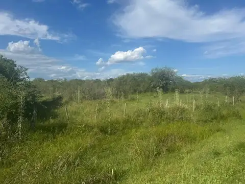 Campo 121 hectareas Mixto Sauce Corrientes